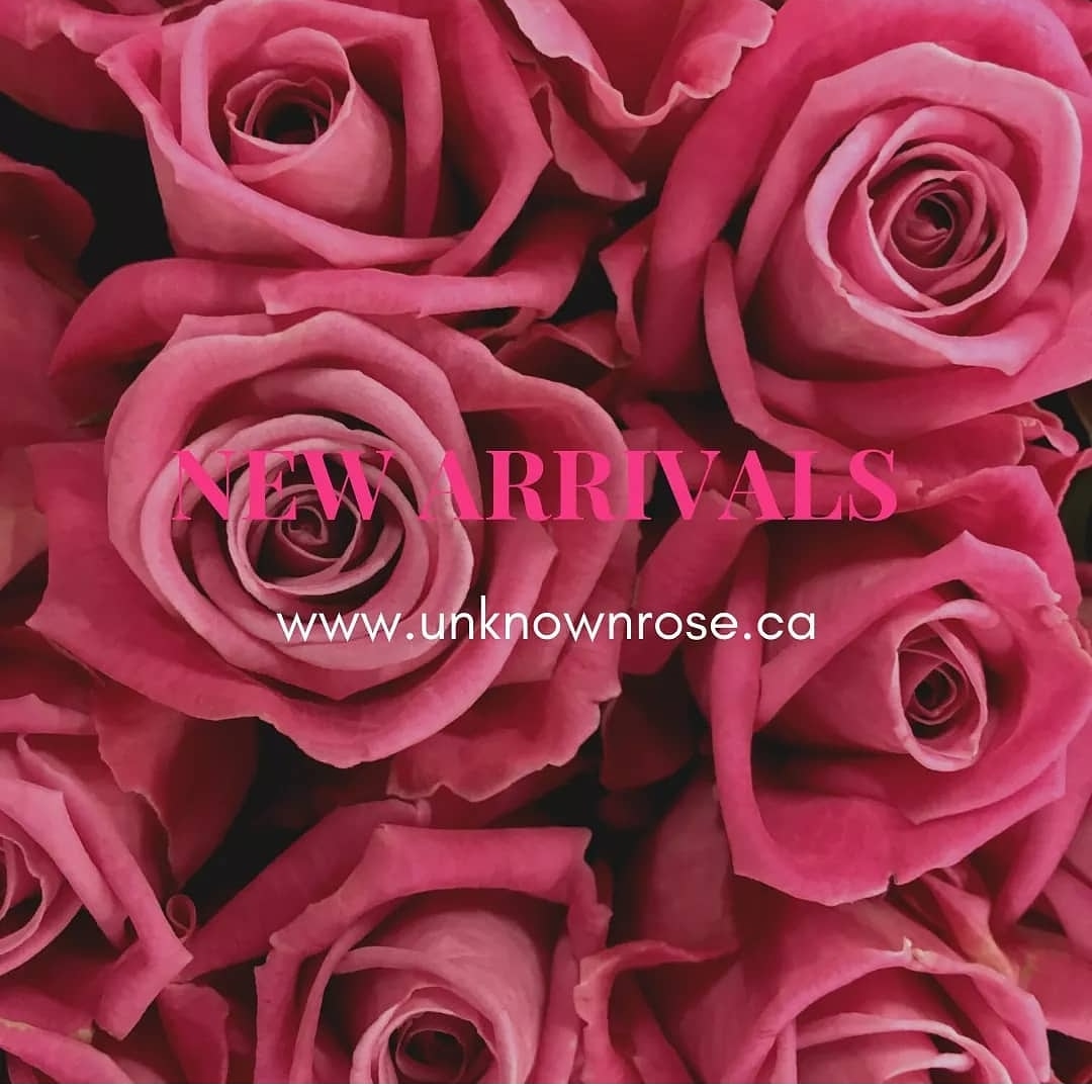 shopunknownrose's tweet photo. Check out this weeks new arrivals 👀🛍️
-
https://t.co/NYJ3qCCFbG 🌹
#tuesdayvibe #tuesdaymood #shopping #Toronto #newarrivals #shopsmall #bossbabe #women https://t.co/JCNu14tXeZ