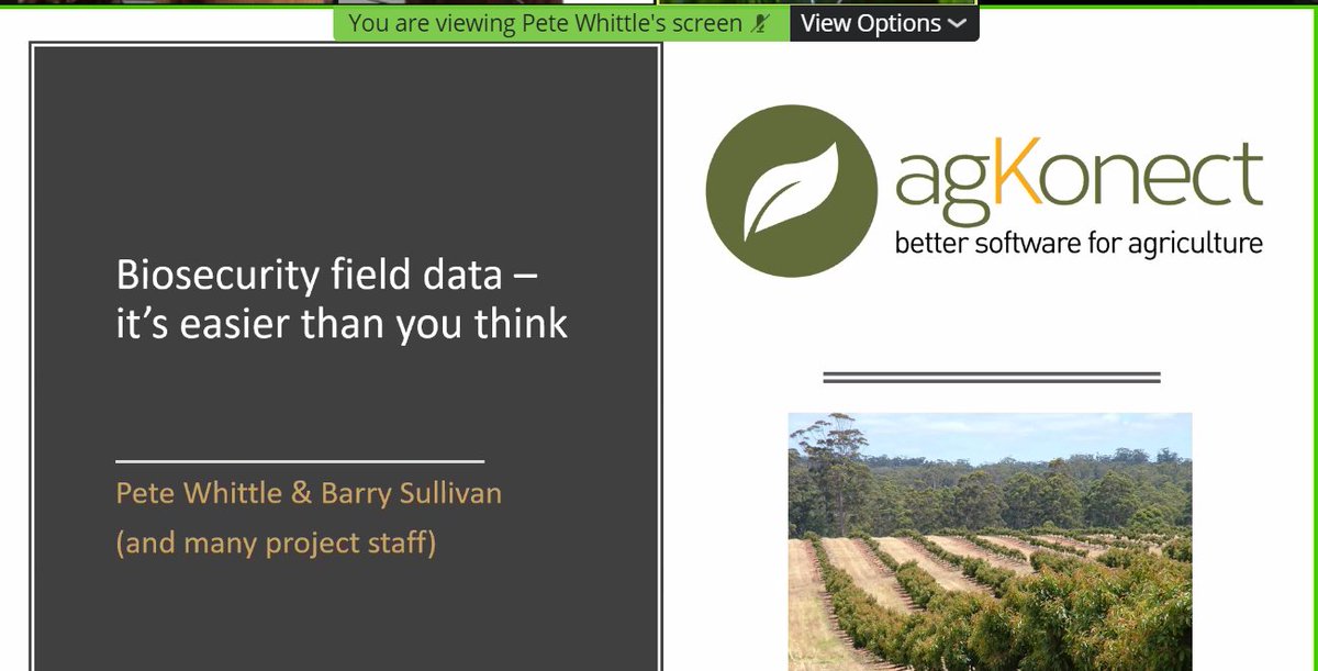 Australasian Plant Pathology Society QLD (@qldapps) on Twitter photo ON NOW Dr Peter Whittle of AgKonect Pty Ltd:
Data systems for Biosecurity 
bit.ly/apps-qld-webin…
Meeting ID: 863 4035 4172
Password: 871077
<a href="/Plant_Pathogens/">Plant Pathogens (APPS)</a>
 #openplantpathology ON NOW Dr Peter Whittle of AgKonect Pty Ltd:
Data systems for Biosecurity 
bit.ly/apps-qld-webin…
Meeting ID: 863 4035 4172
Password: 871077
<a href="/Plant_Pathogens/">Plant Pathogens (APPS)</a>
 #openplantpathology
