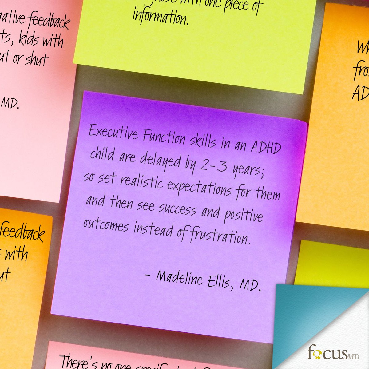 Focus-MD tweet media