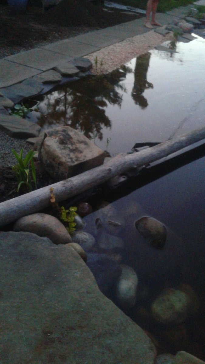 mandynopantses's tweet photo. Moore Swanson goldfish sanctuary evening from sandcastle patio, wishing the world a peaceful slumber. #mooreswansonsanctuary #mandyzen #lifeisgood #mooreswansongoldfishsanctuary #beachlife #allgoodinmyhood #westfortisthebestfort #mandymade #backyardgoals #beautifulreflections https://t.co/nv6uXAC4Tn