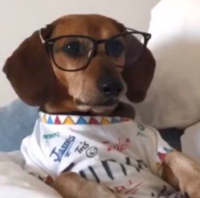 open your spotify on repeat and the first five songs are the soundtrack to the romcom of your life