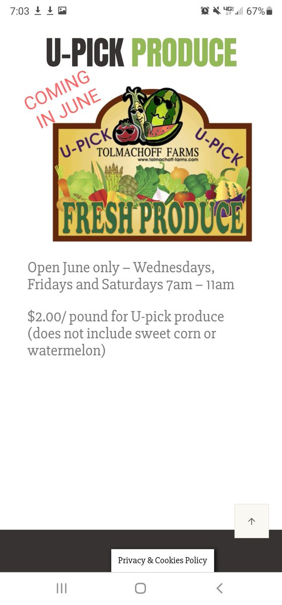 June is u-pick month: Wednesdays, Fridays &amp; Saturdays 7am-11am. The farm produce stand will remain open 9am-5pm everyday until mid July.  #upickfarm #upick