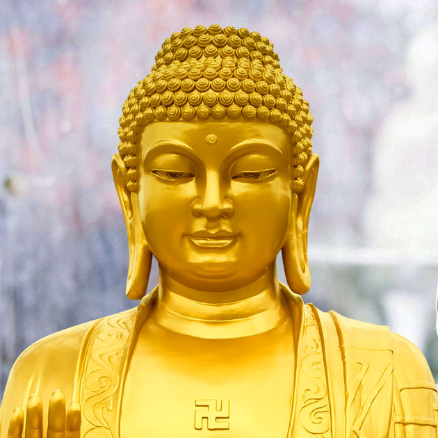 Код на будду. Уши Будды. Улыбка Будды. Улыбающийся Будда. Будда с нимбом.
