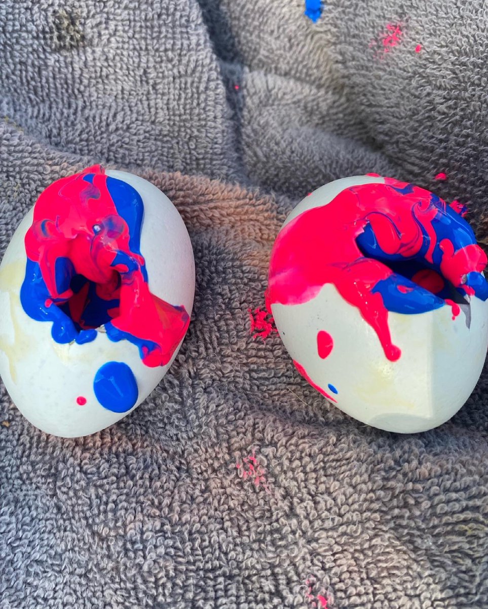 rushedantics tweet media