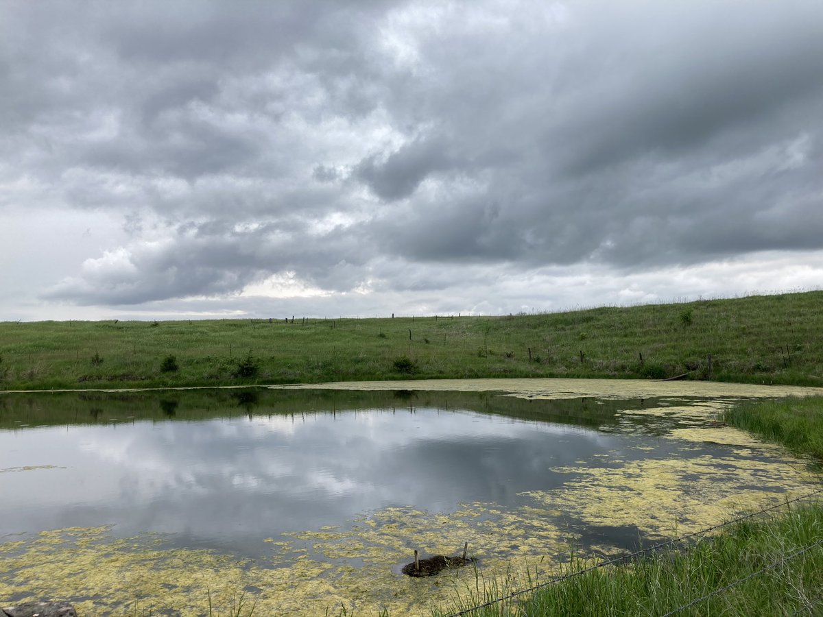 anish_holla's tweet photo. A beautiful day for a field visit.  Enjoyed installing barley straw bales for mitigating small farm pond algae blooms. Thanks to Dr. Moore, Will Boyer, &amp; @KDHE for letting me tag along and patiently answering all my questions. #ruralKansas #waterquality #waterresources https://t.co/m0jszdrisv