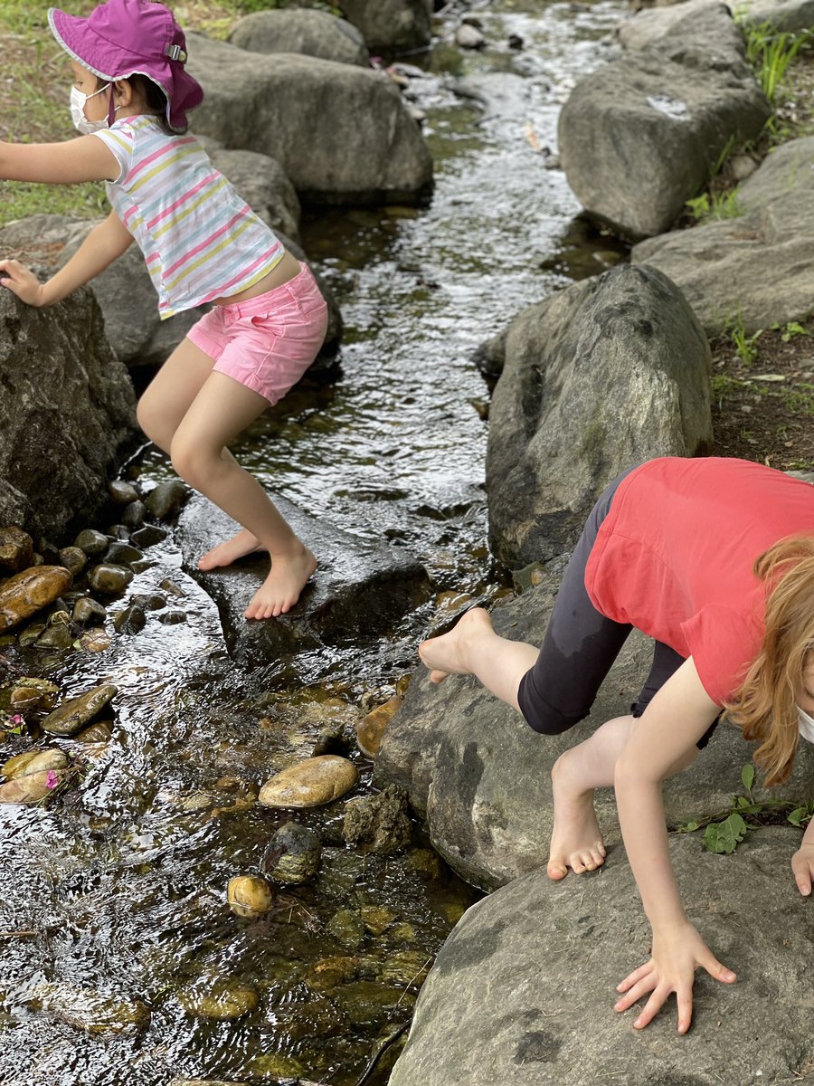 Jane Chae tweet media