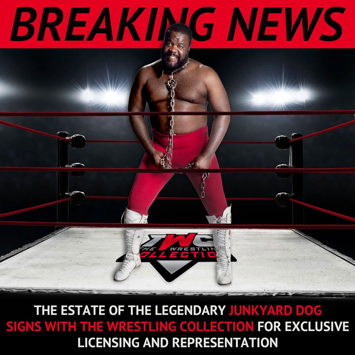 Ted DiBiase Jr. tweet media