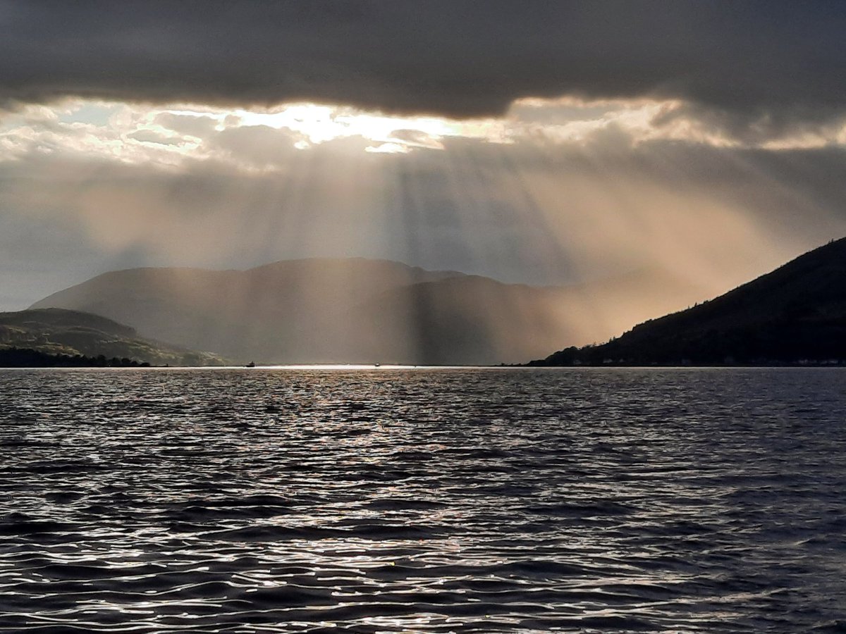 Dane Ralston tweet media