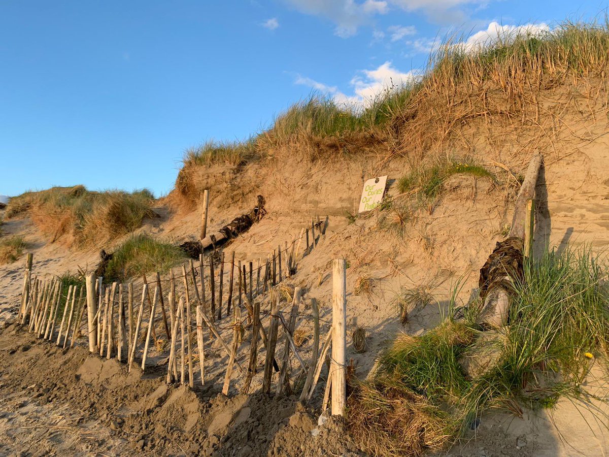 Bertra Connected tweet media