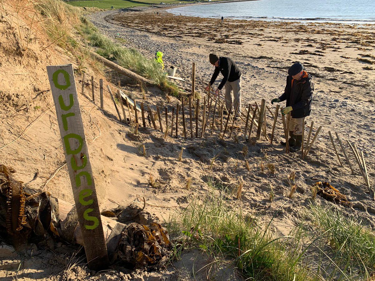 Bertra Connected tweet media