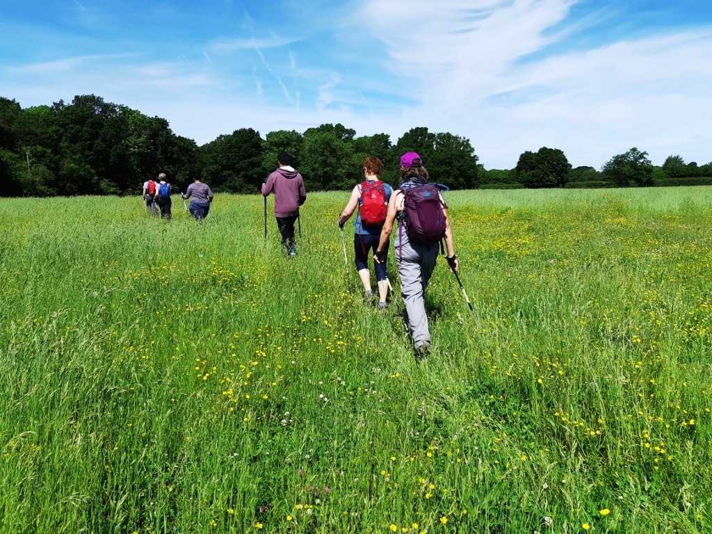 ChiltWalkFest's tweet photo. The #ChilternsWalkingFestival features beautiful walks around #Henley #Chilterns 26 May to 2 June. There are #thamespath walks, nature spotting walks and mindfulness events. Limited spaces, pre-booking essential https://t.co/3l7oILRjfj https://t.co/0cDYkEne37