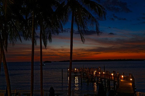 New artwork for sale! - "Ft. Myers 12" - fineartamerica.com/featured/ft-my… <a href="/fineartamerica/">Fine Art America</a>