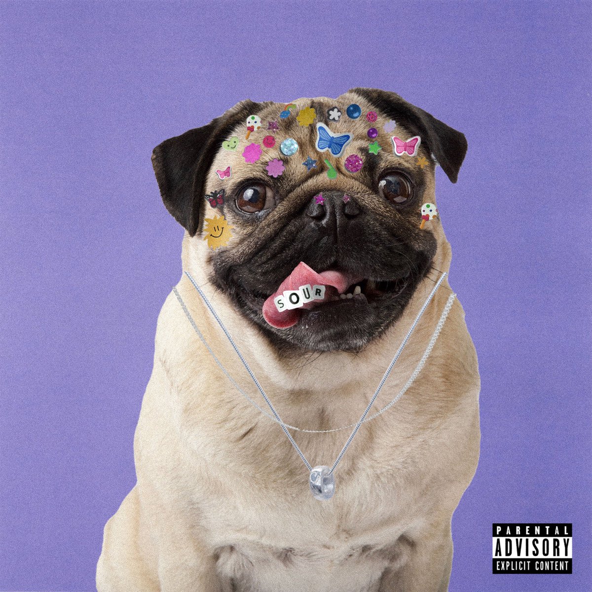 itsdougthepug's tweet photo. SOUR 🍬 @Olivia_Rodrigo https://t.co/f4xVGR6f7I