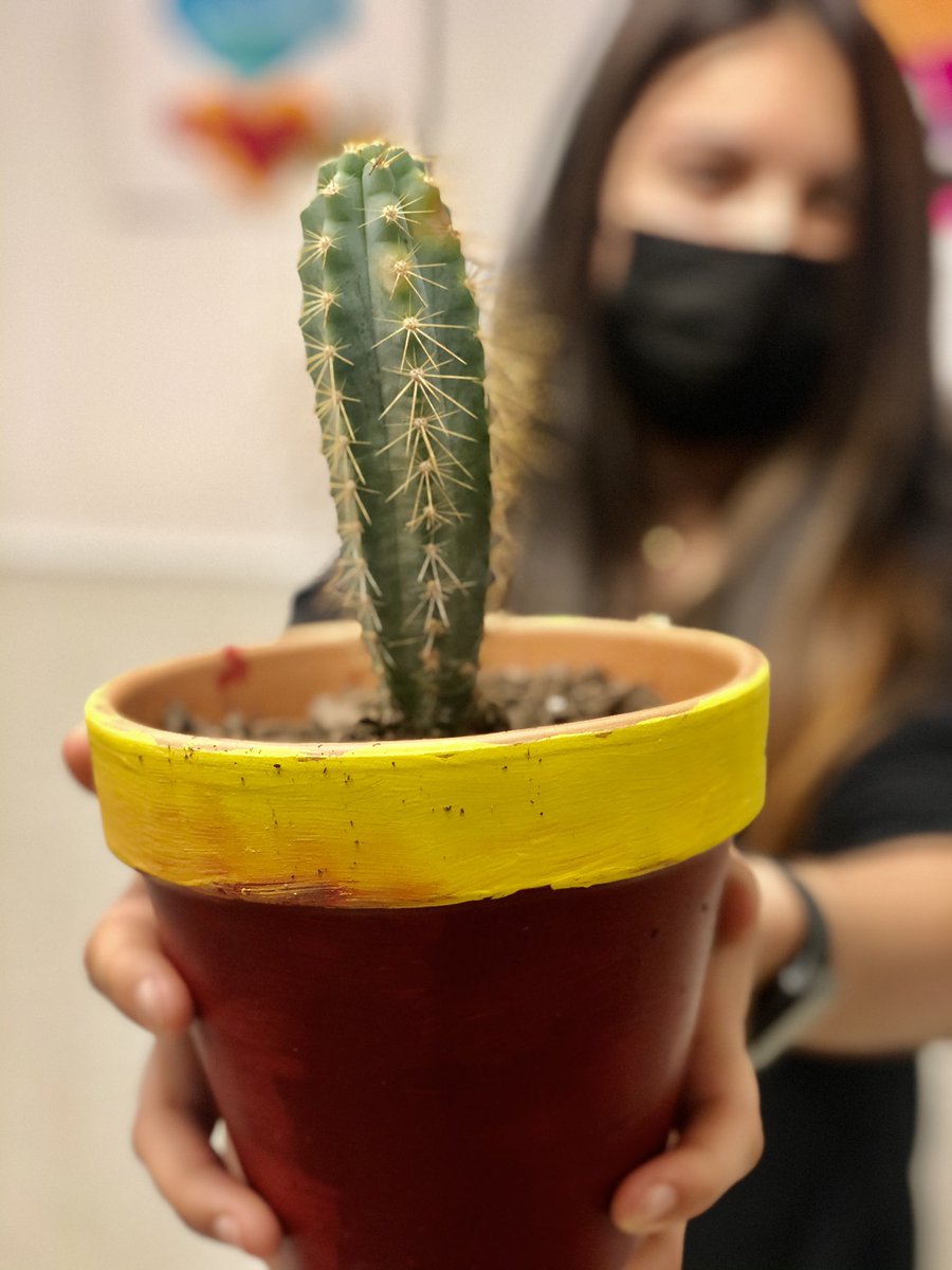 ArtByLevar's tweet photo. We’ll be growing stuff All summer. Art never stops at Tapp Middle School.  @tapn2Tapp #tapn2tapp #eyeofthetiger #artivities #merobinsonrocks #cobbartrocks #kids #ArtistOnTwitter https://t.co/uxT3jnTYGb