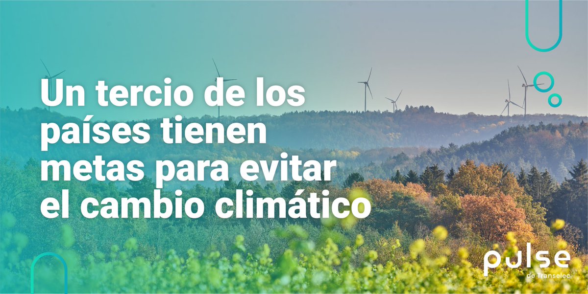 Pulse Energia tweet media