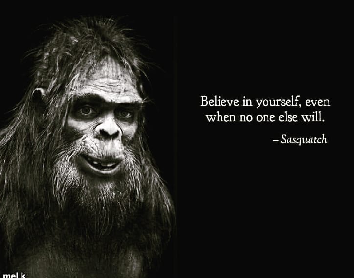 I'm in,,,

#voiceactor 
#sasquatchwisdom 

then I'm out!

Peace ✌🏽