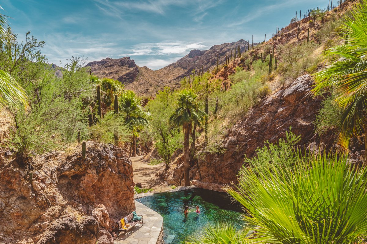 Perfection awaits beneath the palms and saguaros
