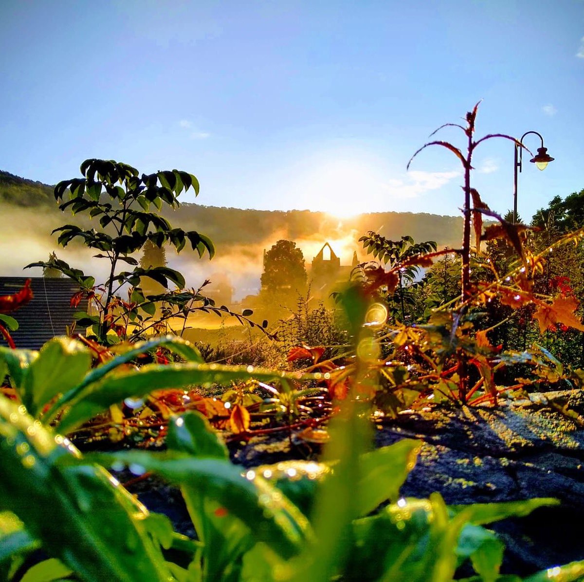 Planning your #halfterm adventures? Why not do the circular walk picking up the #wyevalleygreenway at the <a href="/NDAC_co_uk/">NDAC</a> walk to Tintern and back to Chepstow along the Wye Valley walk 😀<a href="/visit_mon/">Visit Monmouthshire</a> @wyebeauty #walking #staycation