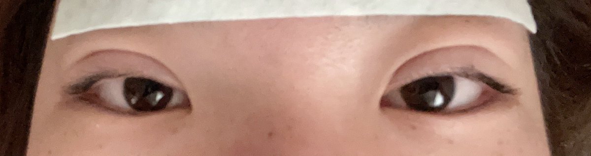 Dt1日目 Hashtaggen Pa Twitter