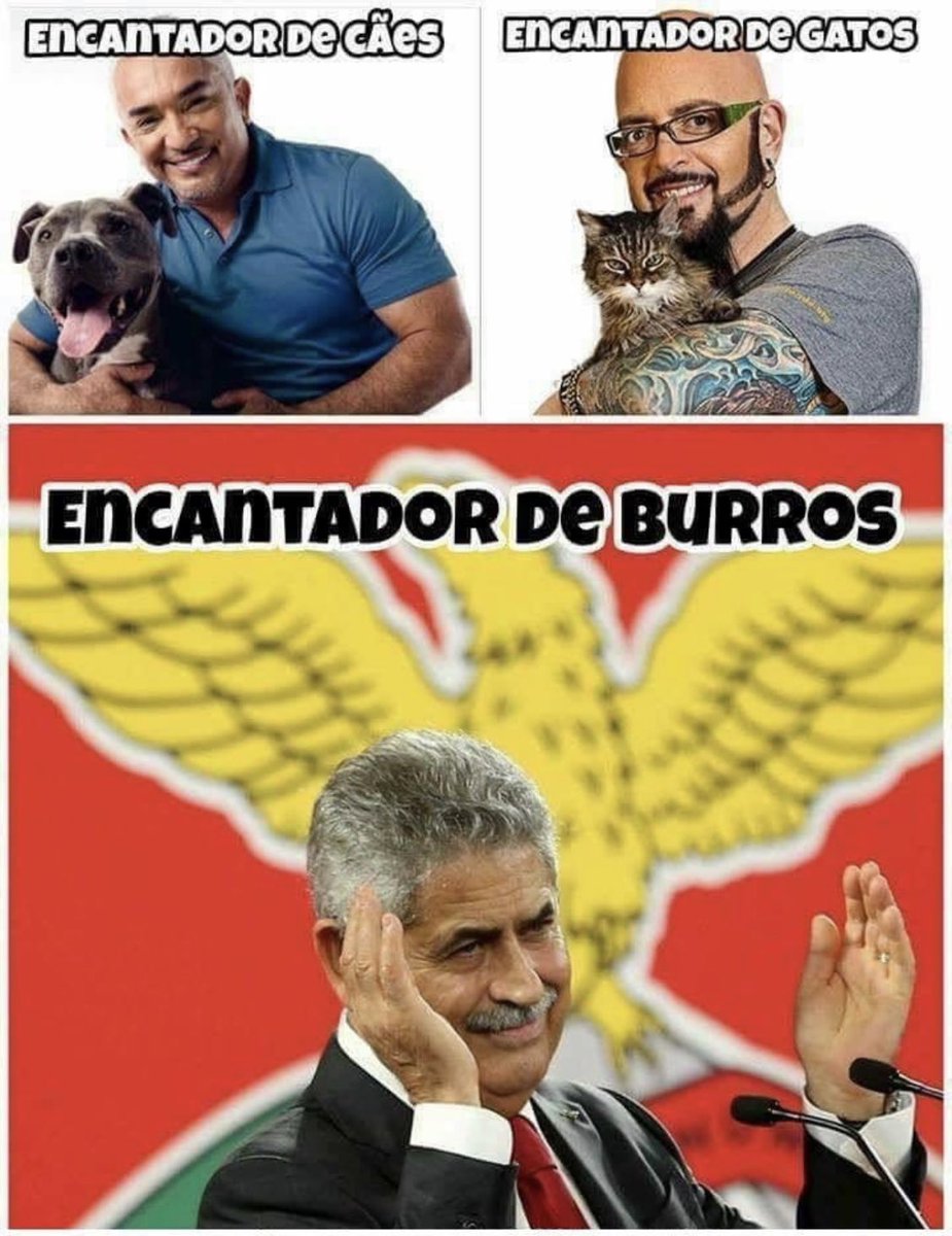 Mister_Luigi7's tweet photo. A merda do caracolinhos a DAR TUDO para denegrir o FCPorto!!

A azia geral que a notícia de q SC já não ia para Itália está a destabilizar o #benfiquistan!!

#ruisantos #sic #benfiquistao #sc #unilabs #fcporto #porto #slmerda #tempoextra #jornalixo #lixo #ruisantos @RcostaRicardo https://t.co/G2cUHTuSM1
