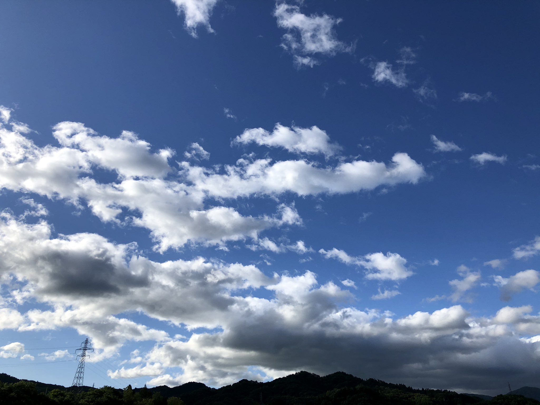 紅花栄 Twitter Bilaketa Twitter
