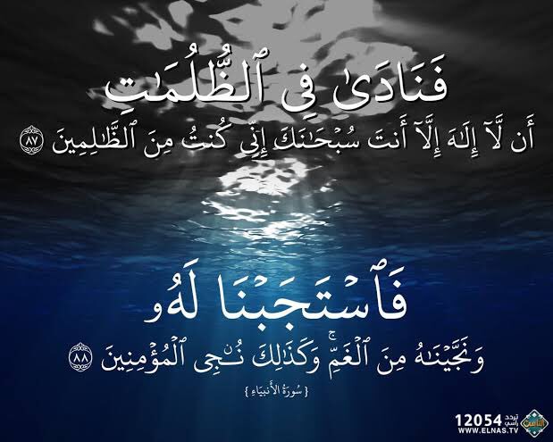 mahmoud elbagory (@doc_bego) on Twitter photo 