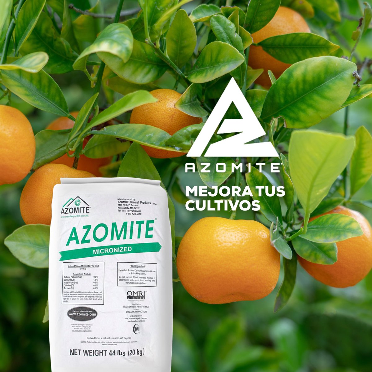 FertigreenEc's tweet photo. AZOMITE
โข Es un producto mineral utilizado para mejorar, acondicionar y potenciar los nutrientes del suelo
โข Contiene en forma natural 72 diferentes minerales y una alta cantidad de silicio bio disponible, lo cual lo hace รบnico a nivel mundial.
#azomite @AZOMITE https://t.co/02UeqeGiff