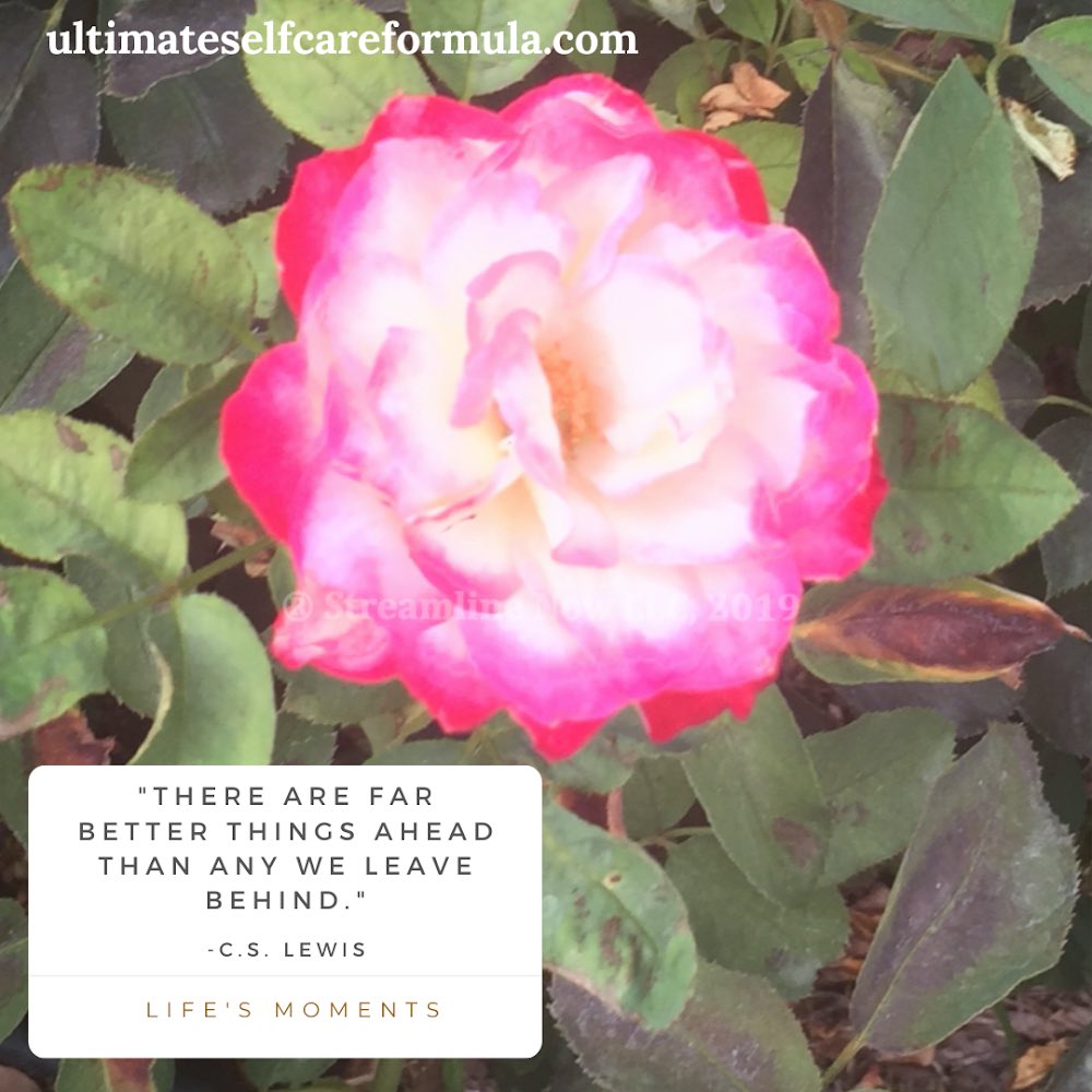 ultimatescf's tweet image. “There are far better things ahead than any we leave behind.” -C.S. Lewis 🌹Learn More: ultimateselfcareformula.com