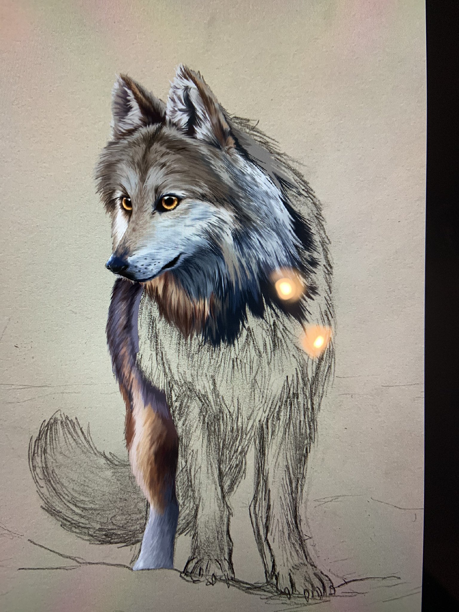 Mega Mouse Arts Here Is My New Drawing Of A Wolf In A Snowy Forest The Wolf Head In The Comparison Photo Is From 15 Or 16 I Hope You
