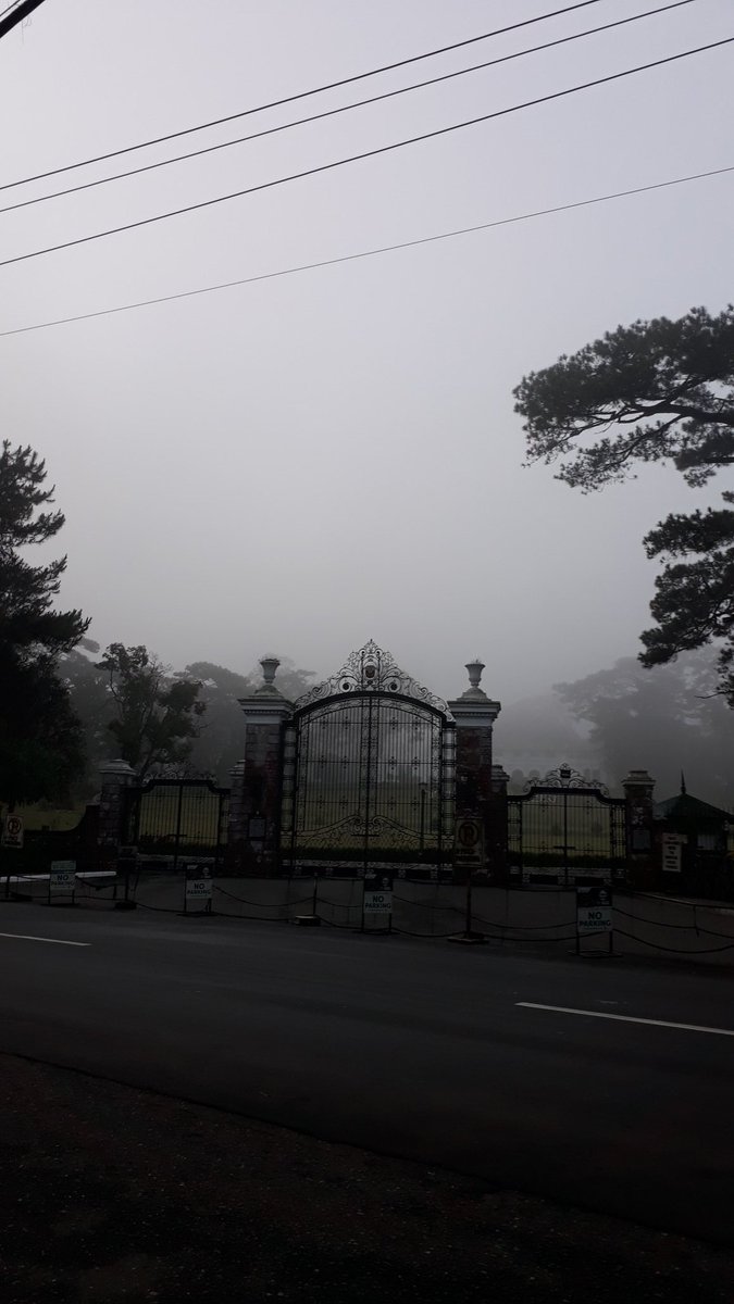 Jessun5's tweet photo. A foggy Wins-day morning twitter world!
     😊❤🙏🤗😘☕ https://t.co/iHnv58Jm8m
