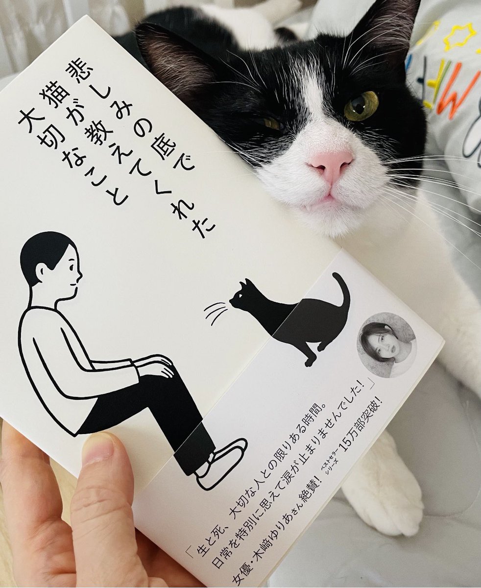 瀧森古都 作家 シリーズ第1弾 悲しみの底で猫が教えてくれた大切なこと の帯に 親愛なる木﨑ゆりあちゃん 元akb がご感想を下さいました 味の素ザチャーハンの Cmで 小栗旬さんの妹役をバッチリ務めるゆりあちゃん お忙しいのにソコネコ読み返して