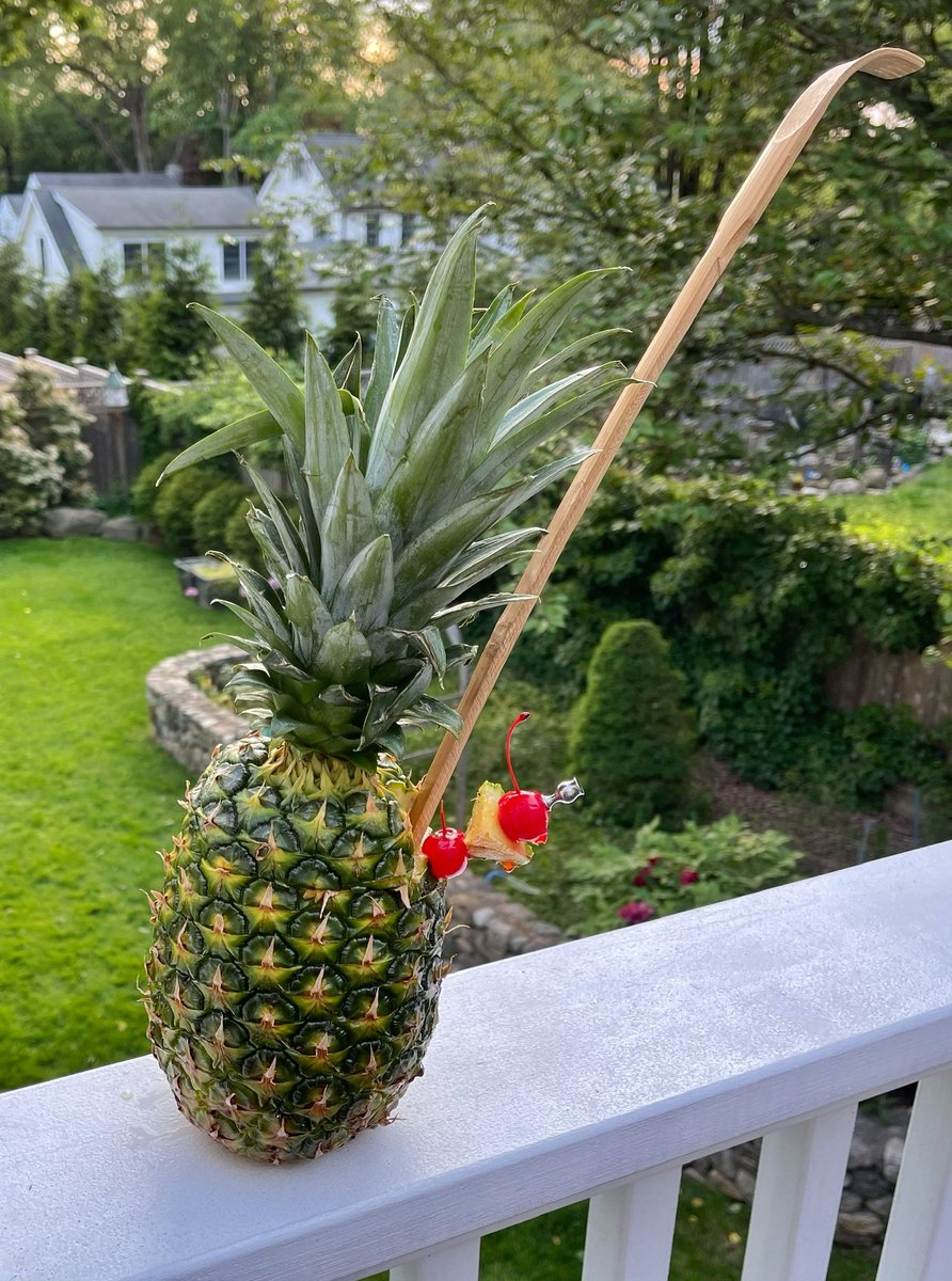 epcotbarcrawl's tweet photo. Decided to have some fun tonight & Disney is on the menu. However after getting home I realized we didnโt have any Sweet & Sour mix.
I had to call an audible on my planned Lapu Lapu. So what you see is a Backscratcher...in a pineapple. It works!
#WDW
#DDDQ https://t.co/z4G5LjUj61