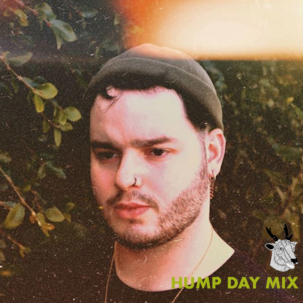 acid stag tweet media