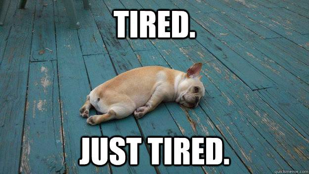 HPS Technology tweet media