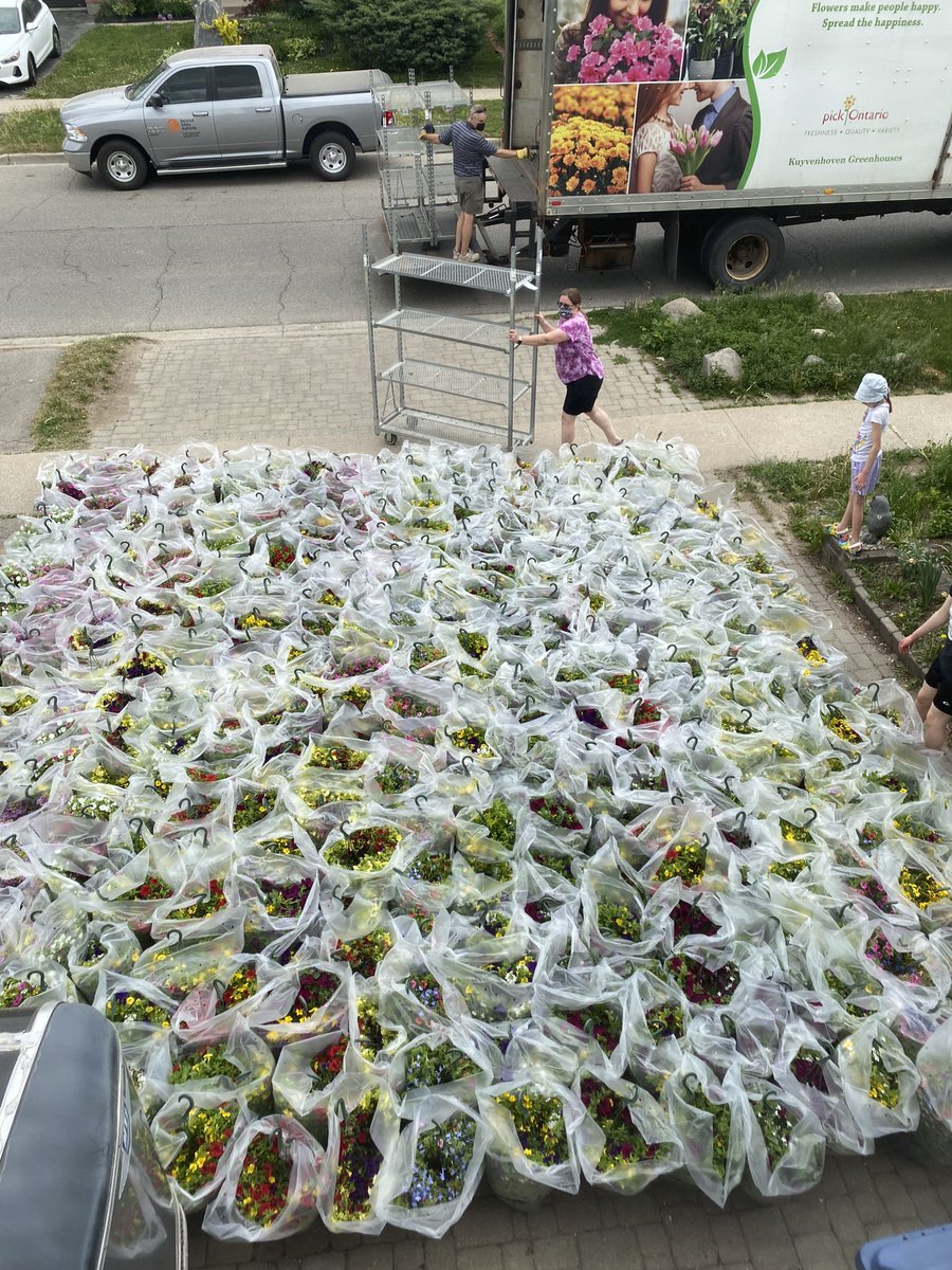 Guelph27th's tweet photo. Flowerpot fundraiser is a success! Now Akela and Firefly knows they have a 350 flowerpot sized driveway! #scoutingrocks! https://t.co/w0mnQOI8LJ