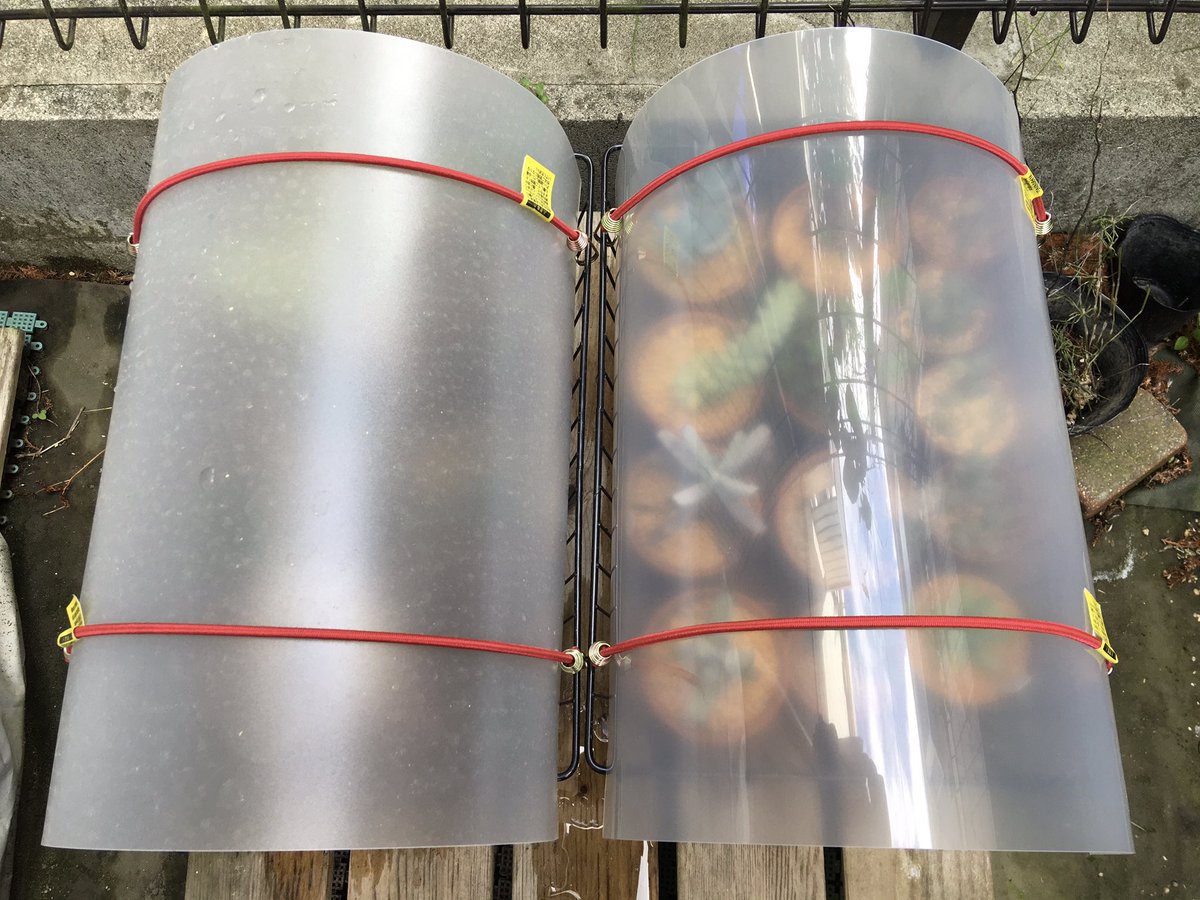 盃 Sakazuki 園芸系 Ppシート比較 0 75mm厚 左 光沢なし 右 光沢あり 多肉植物 遮光 防雨 T Co W8hlktp0za Twitter