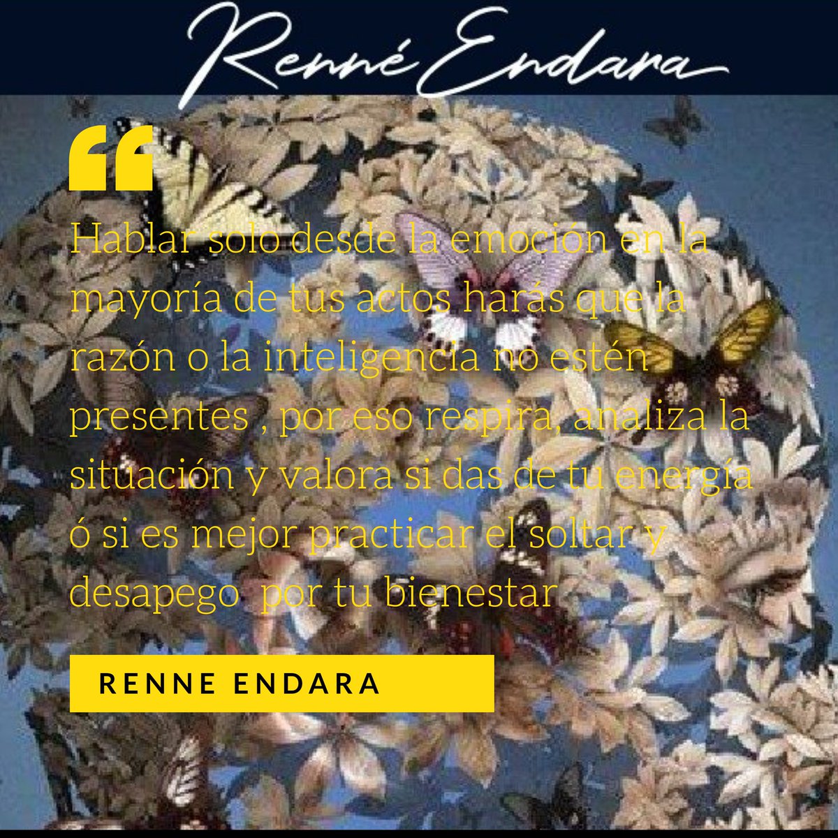RenneEndara's tweet photo. Equilibra la #emoción con la #inteligencia https://t.co/0cKcgb4DyU