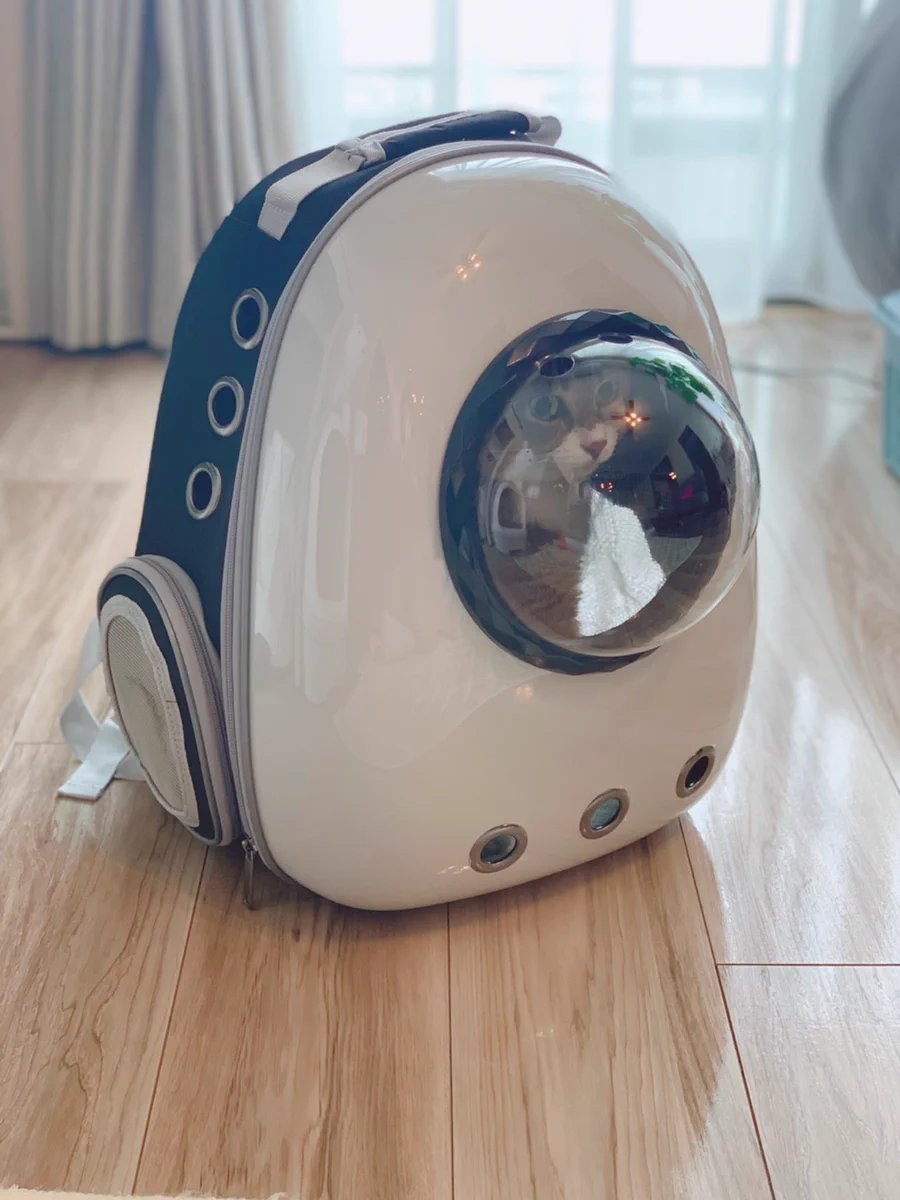猫を連れた防災避難時にはリュックが最適！近未来でアマングアス感あふれる形が珍しい！