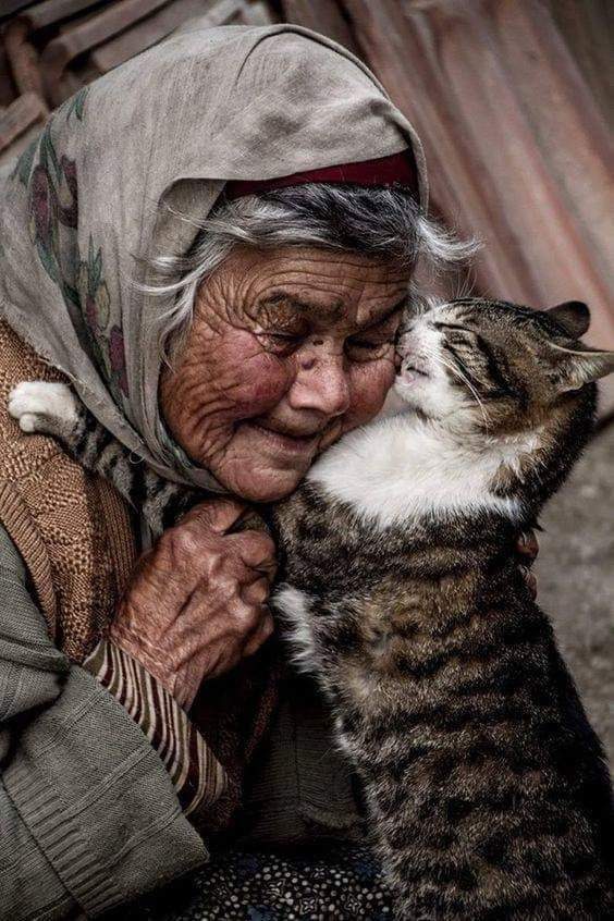 wiz9921's tweet photo. #ليس في إستطاعة الجميع القي��م بأعمال عظيمة ، ولكن يُمكن لكُل مِنا القيام بأفعال صغيرة بحُب صادق وعظيم .... 
#wiz https://t.co/RHdeF0MevL