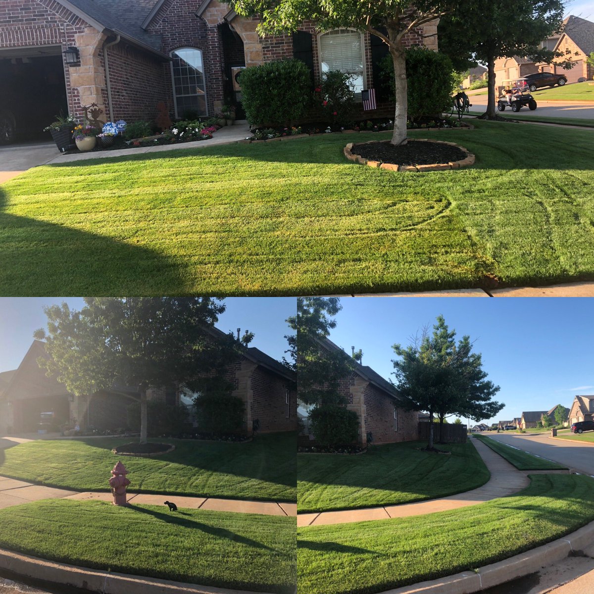 4WallerOU's tweet photo. #yardguy https://t.co/IqDT0PEuSM
