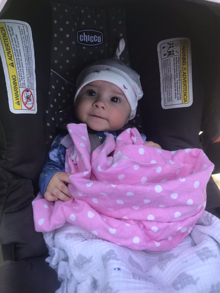 Veroniczkaa's tweet photo. The most perfect little squish 💕 https://t.co/vATUPs1qfy