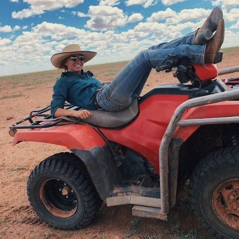 The Jillaroo tweet media