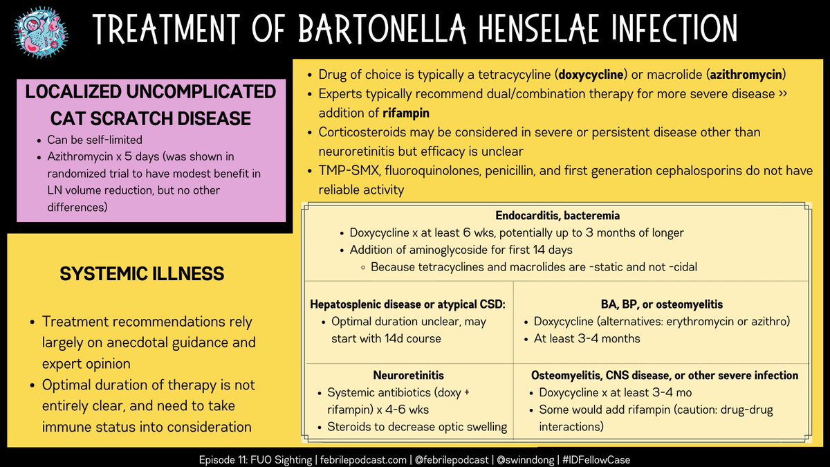 ID_fellows's tweet photo. #IDfellowcase
Tx recs for Bartonella rely on anecdote & expert opinion
Possible durations👇many use dual therapy for severe dz but rif hard w/DDIs + HIV meds
W/peliosis+OM in this case, likely looking at least 3-4 mo with at least doxy
Following tweets have some refs! https://t.co/oSOcZdkiqE