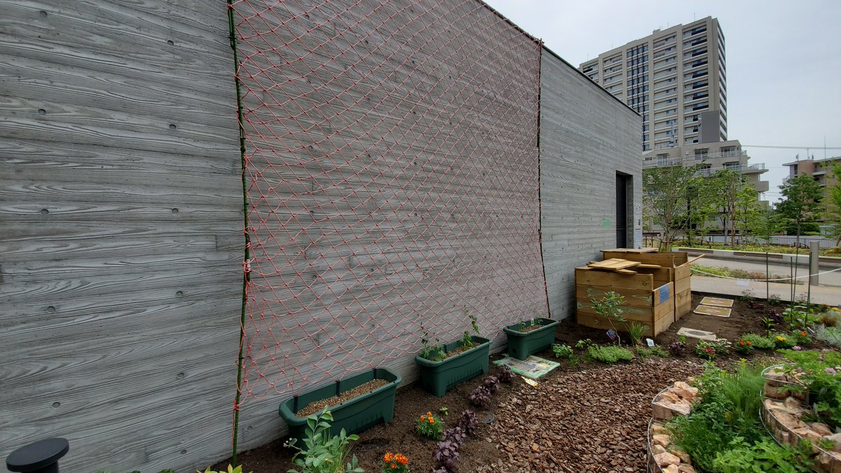 イケ サンパーク 公式 Ike Sunpark 豊島区東池袋 おはサン イケサン イケサンパークの東池みどりです コミュニティガーデンにゴーヤを植えました 壁にみどりのカーテンのように成長してくれることを 今から楽しみです 池袋 ガーデニング