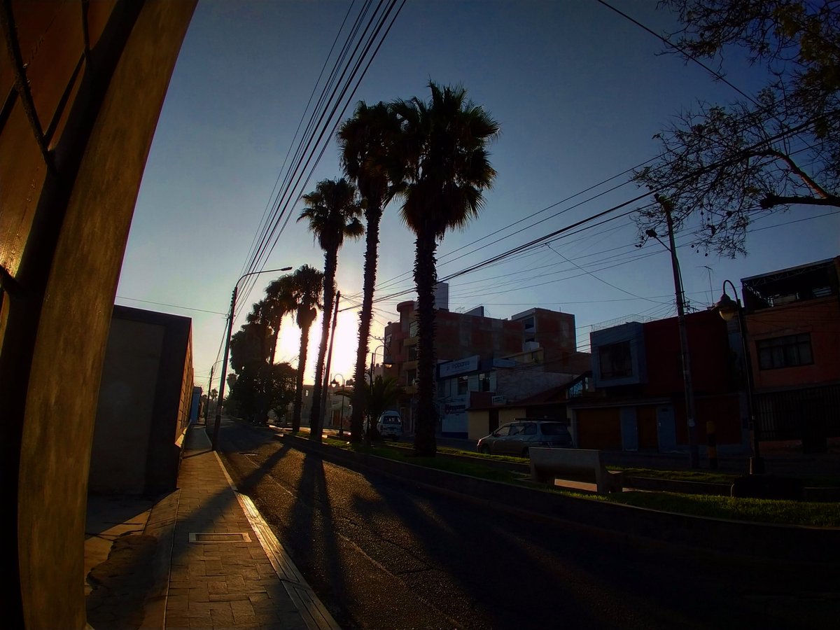 _FernandaCharaa's tweet image. 