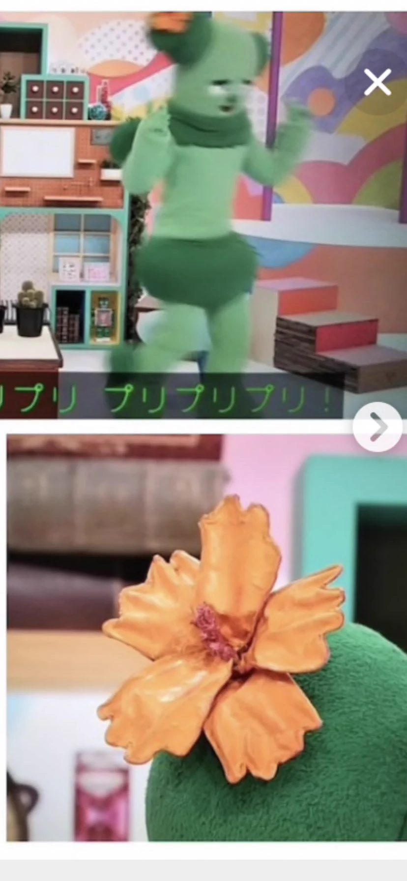 @M_cbr250rr サボ子さんを思い出してしまった。 