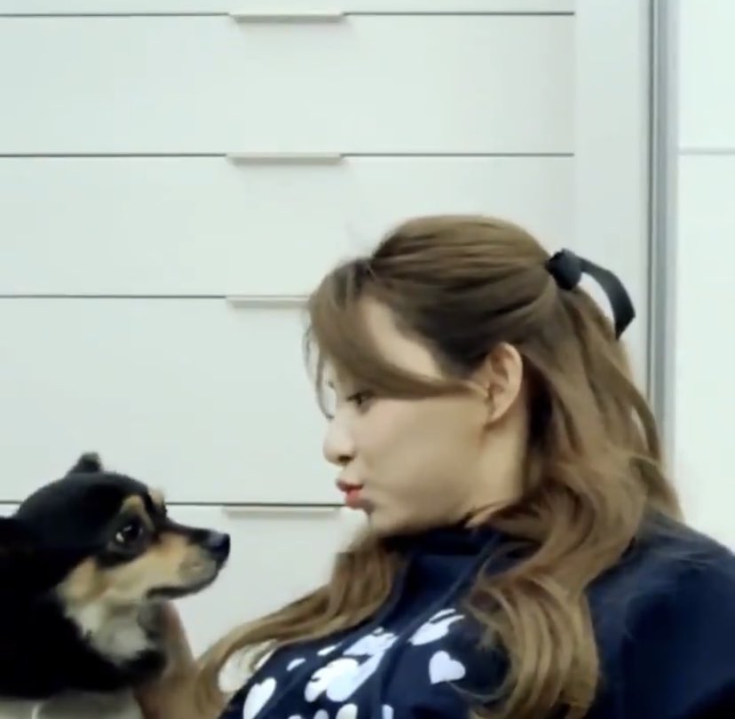 tiny_tzuyu tweet picture