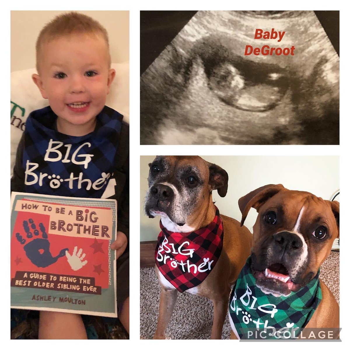 Congratulations to our Head JV coach and his wife. Another lax star in the making