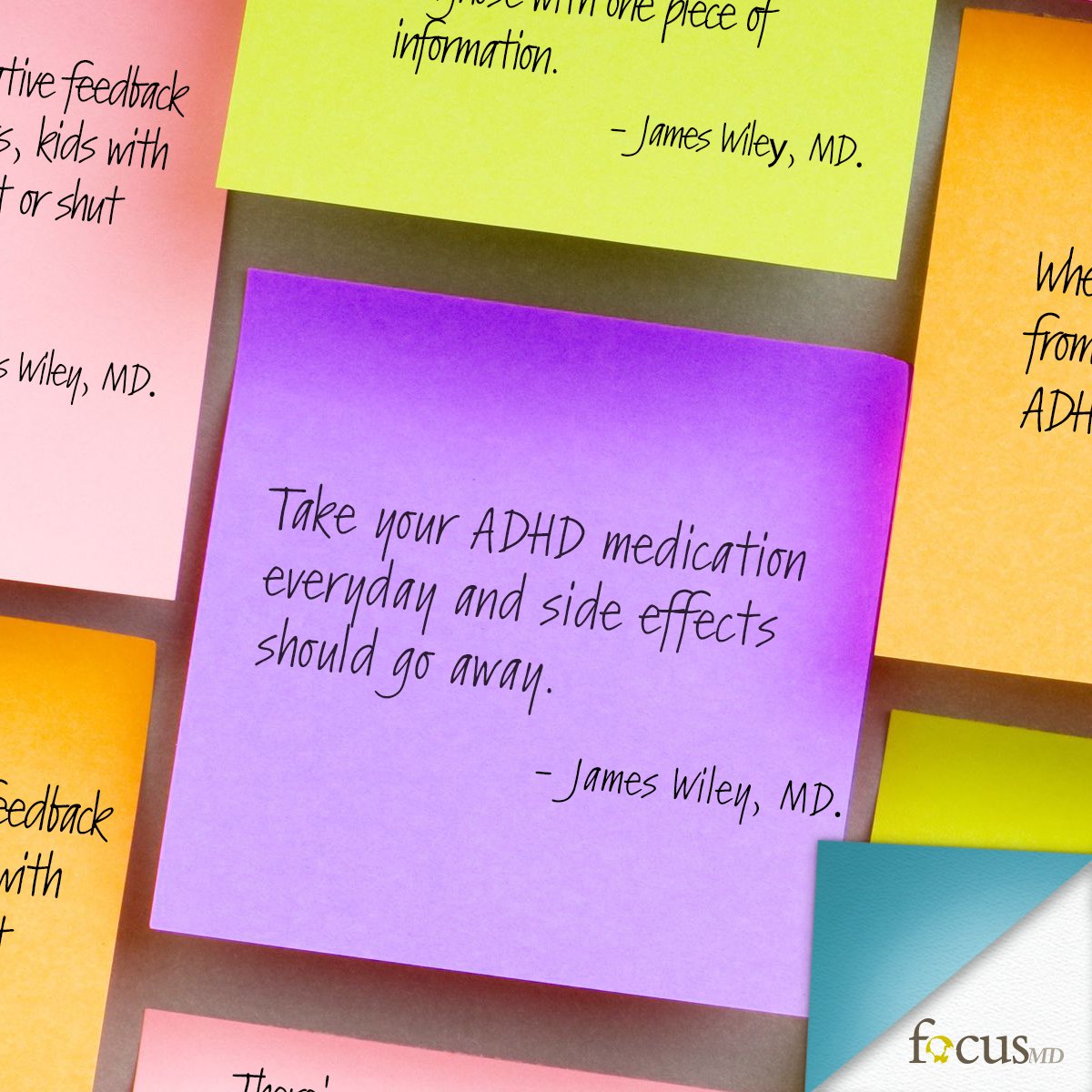 Focus-MD tweet media