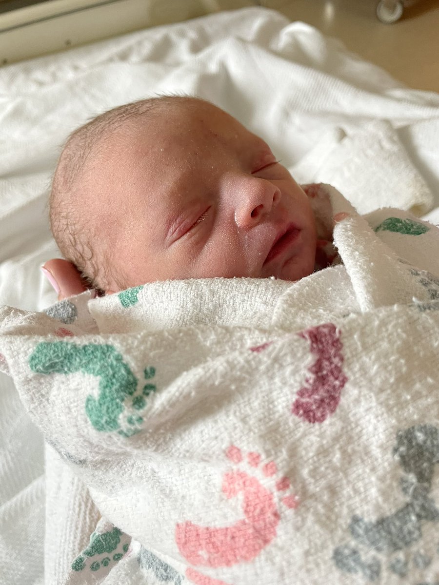 haleyeeaton's tweet photo. Look at this sweet angel 🥺 https://t.co/i0CnW2oIOT